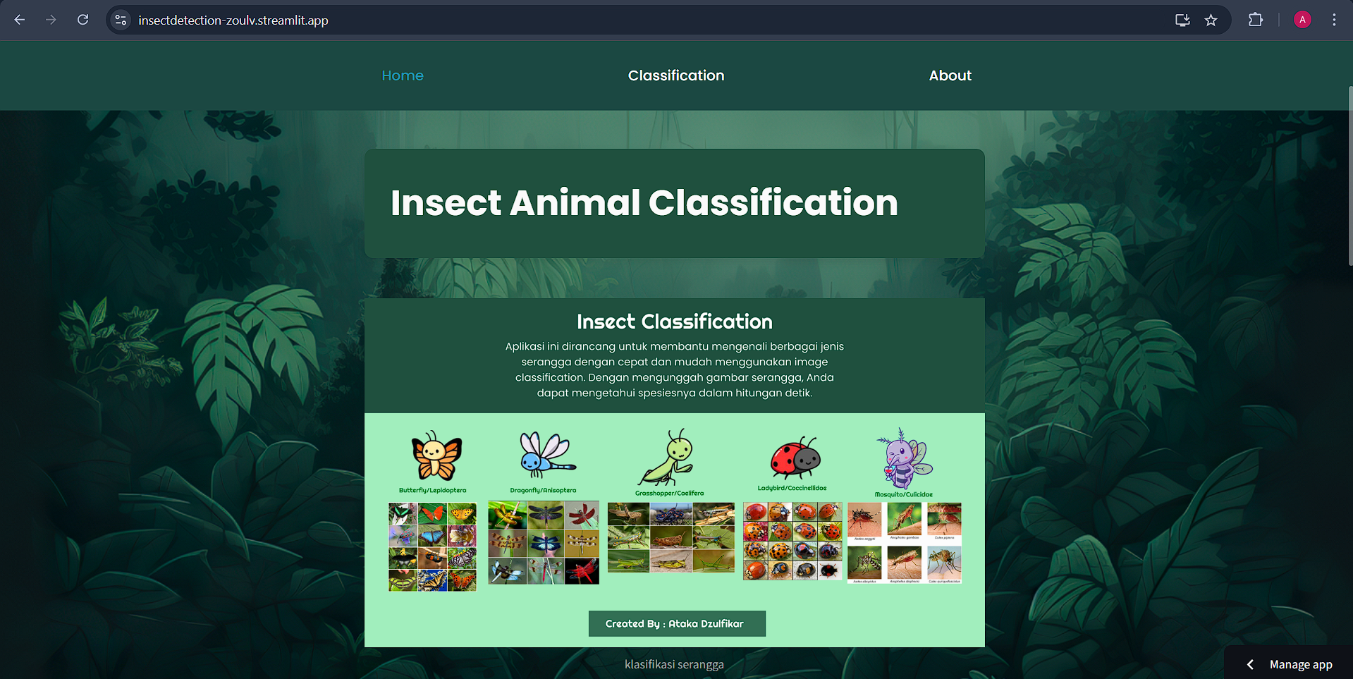 Insect Animals Detection App